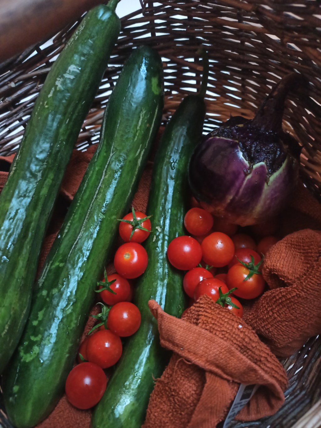 La fin du&nbsp;potager